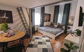 Gemuetliches Apartment Am Rhein 2